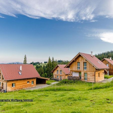 Beautiful Holiday Home In Weinebene With Sauna Posch Alpe Luaran gambar