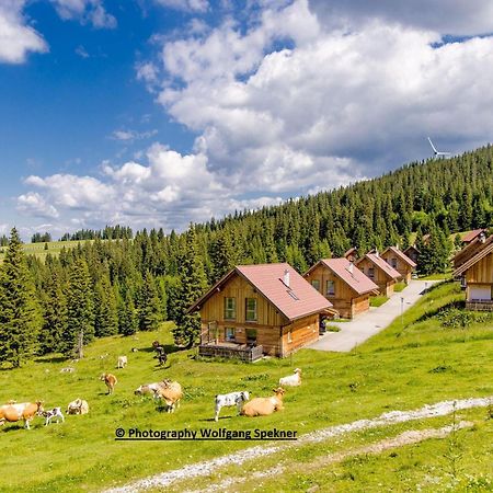 Beautiful Holiday Home In Weinebene With Sauna Posch Alpe Luaran gambar
