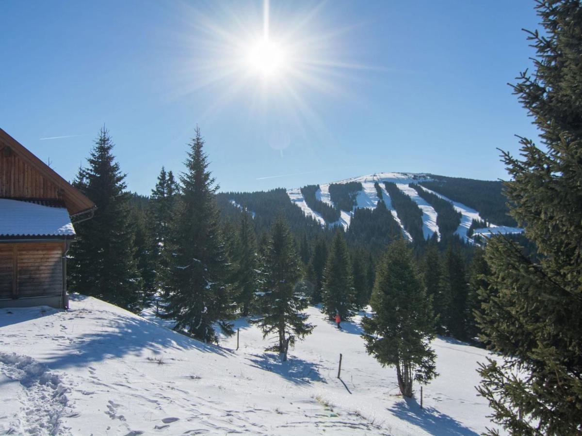 Beautiful Holiday Home In Weinebene With Sauna Posch Alpe Luaran gambar