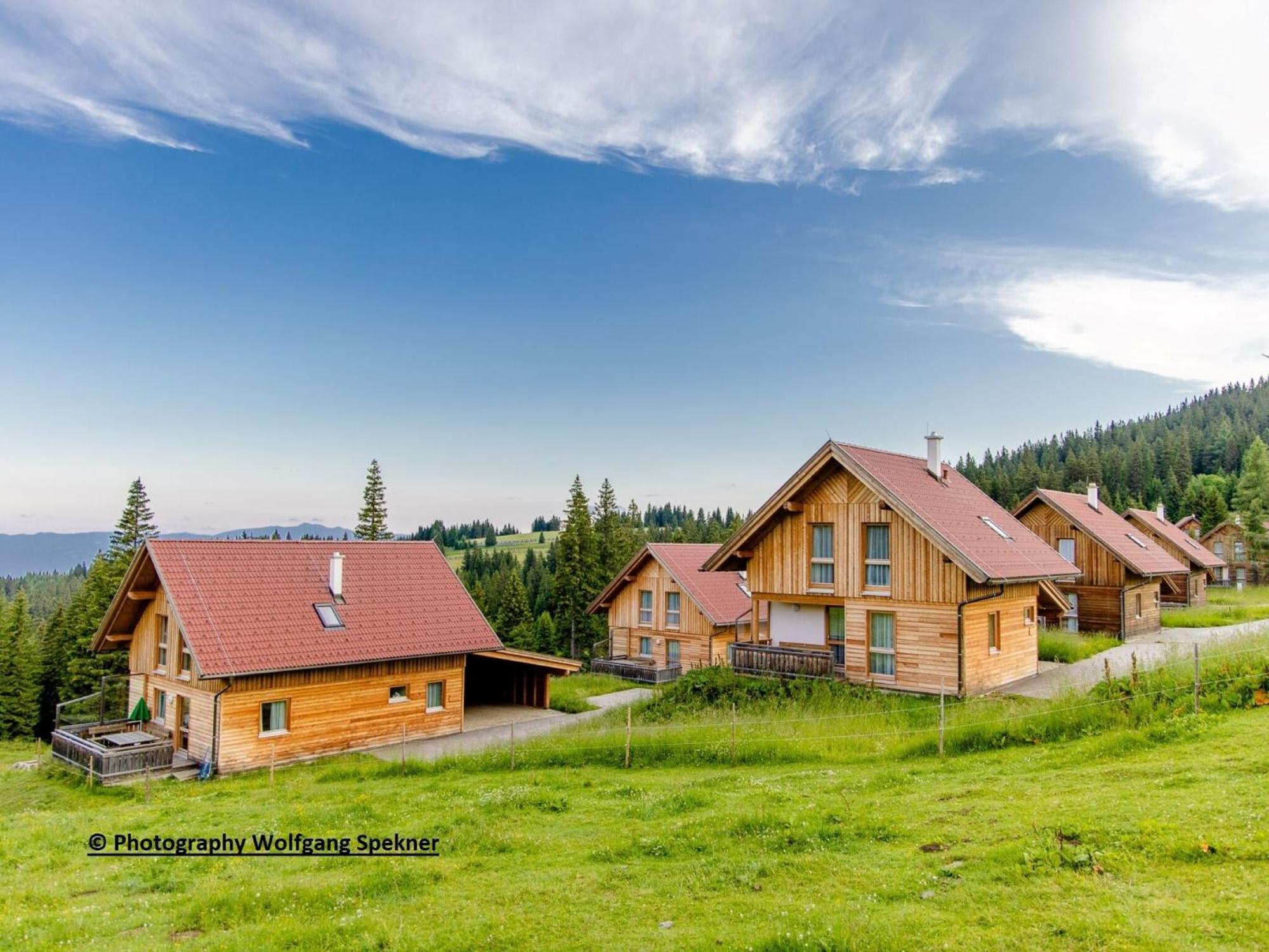 Beautiful Holiday Home In Weinebene With Sauna Posch Alpe Luaran gambar