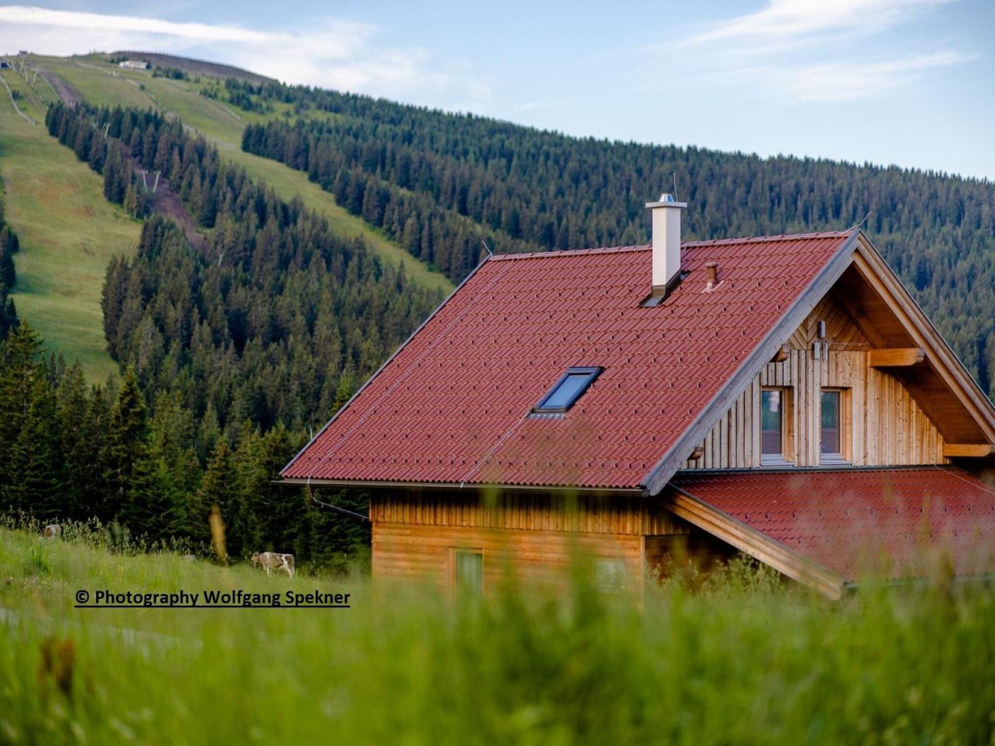 Beautiful Holiday Home In Weinebene With Sauna Posch Alpe Luaran gambar