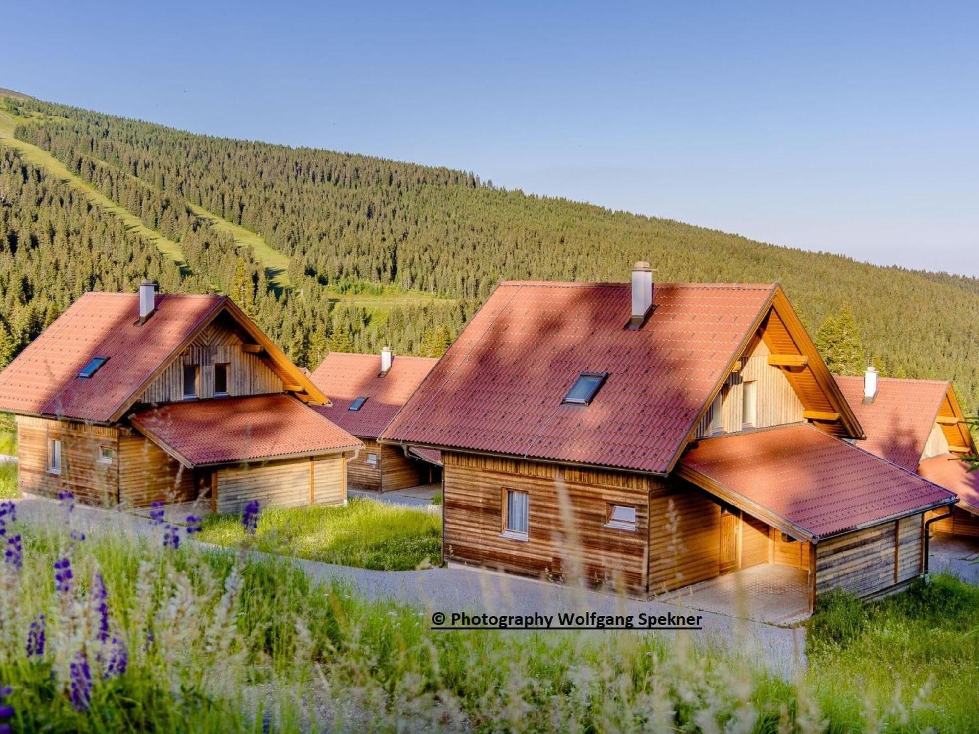 Beautiful Holiday Home In Weinebene With Sauna Posch Alpe Luaran gambar