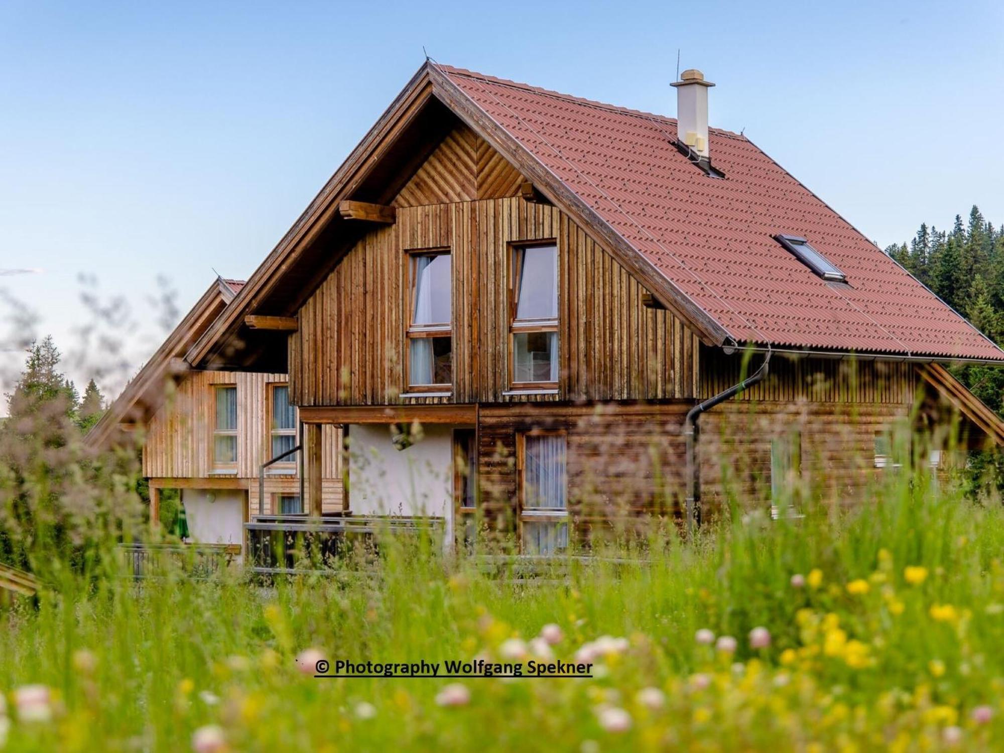 Beautiful Holiday Home In Weinebene With Sauna Posch Alpe Luaran gambar
