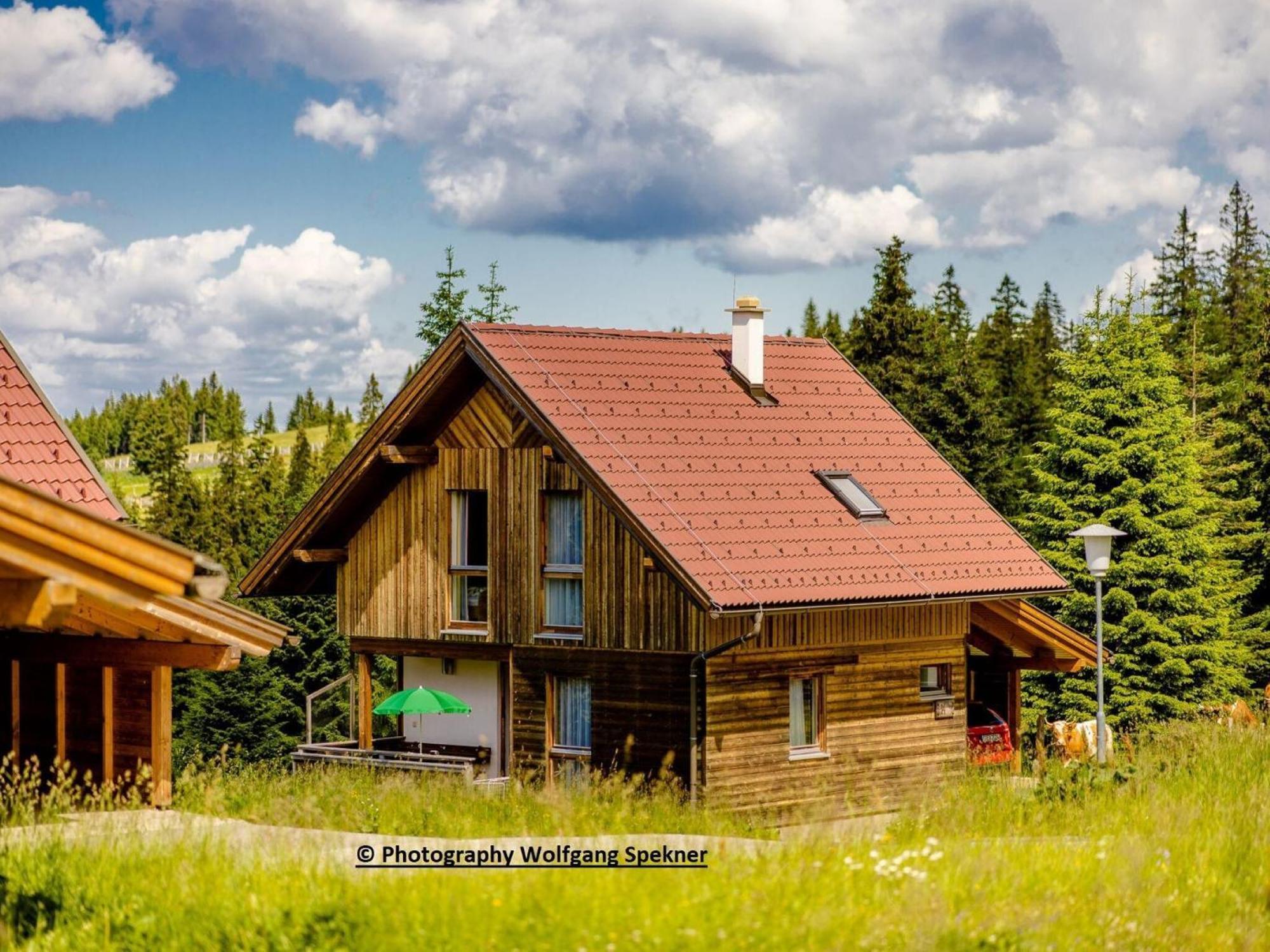 Beautiful Holiday Home In Weinebene With Sauna Posch Alpe Luaran gambar
