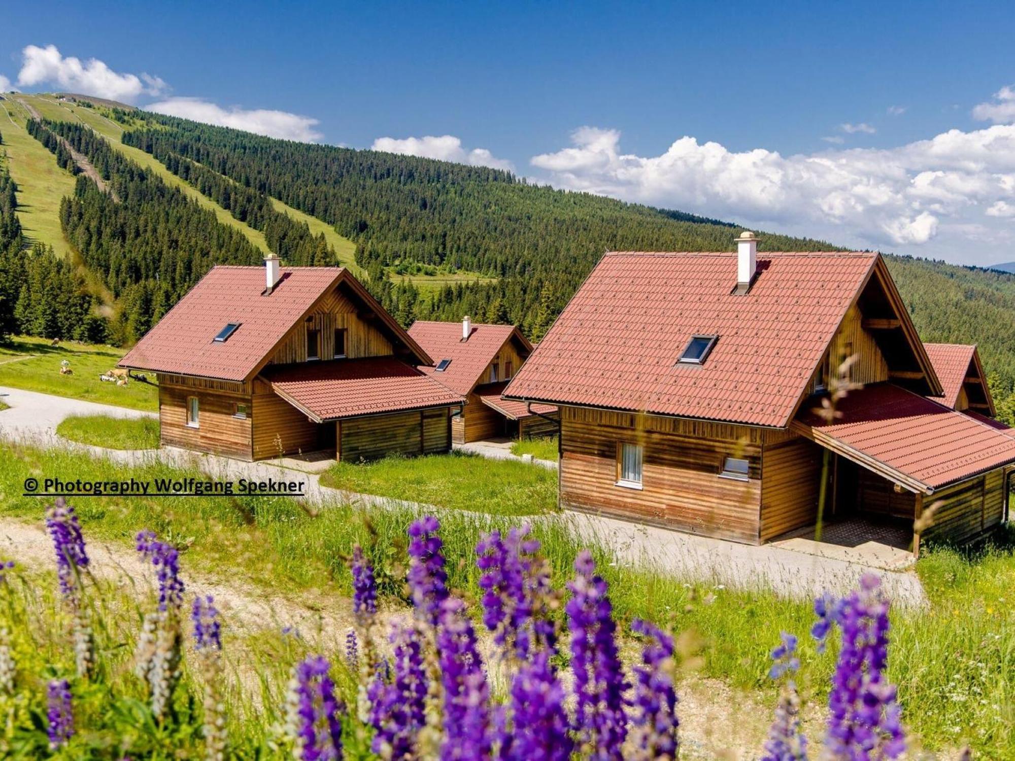 Beautiful Holiday Home In Weinebene With Sauna Posch Alpe Luaran gambar
