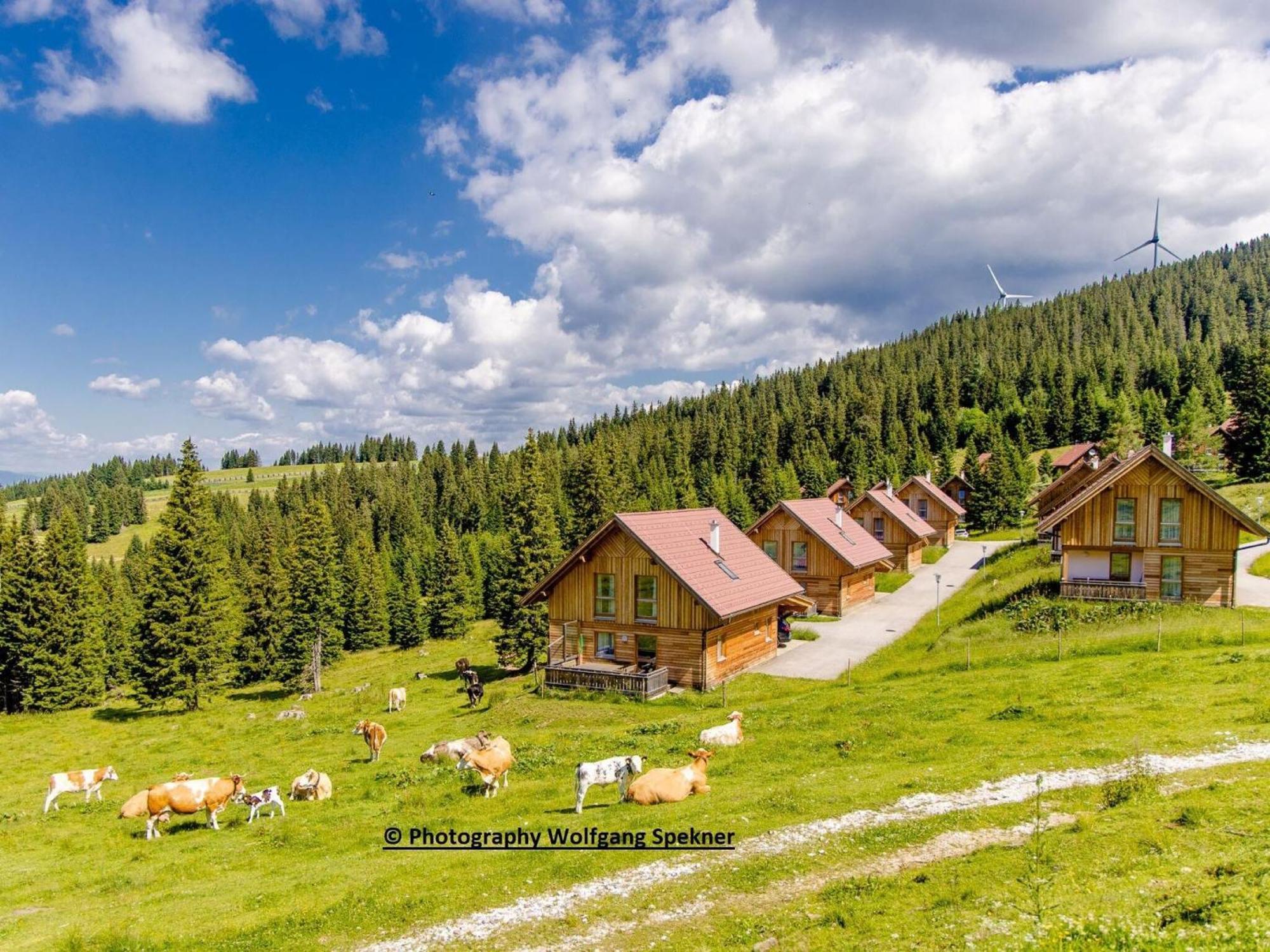 Beautiful Holiday Home In Weinebene With Sauna Posch Alpe Luaran gambar
