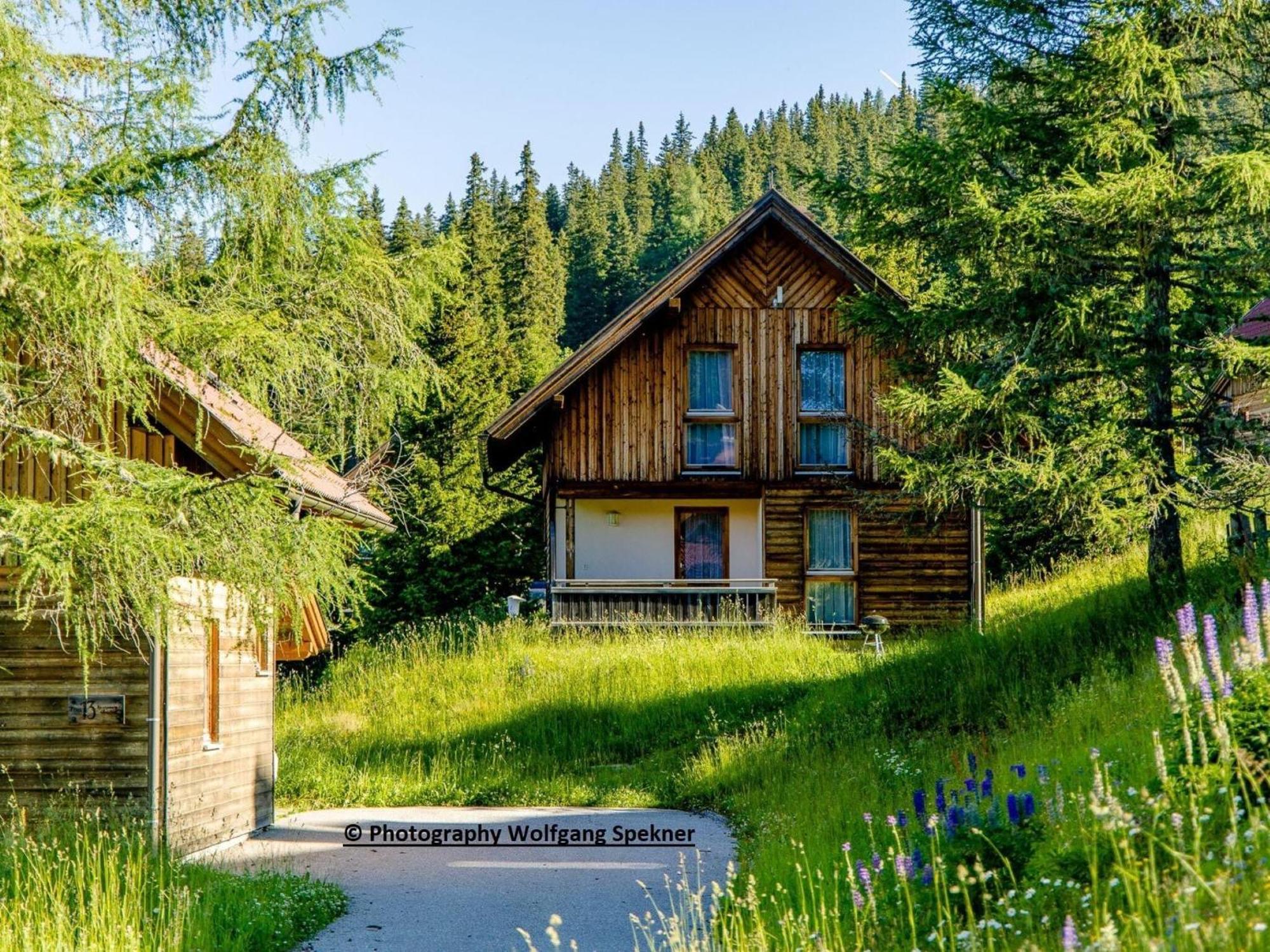Beautiful Holiday Home In Weinebene With Sauna Posch Alpe Luaran gambar